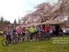 Bikes